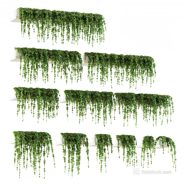 Lush Indoor Hanging Potted Plants With Trailing Vines On Shelves 3d model 