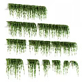 Lush Indoor Hanging Potted Plants With Trailing Vines On Shelves