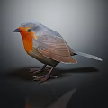 Small Bird With Gray Head And Orange Chest Standing On Black Surface With Reflection 3d model