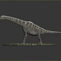 Realistic Striped Long Neck Dinosaur Model On Circular Sandy Base With Green Border 3d model
