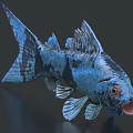 Aquatic Animal Blue And Black Fish With Detailed Scales Yellow Eyes And Open Mouth