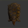 Brown Orange Patterned Tortoise with Detailed Textured Shell Standing on Smooth Surface 3d model