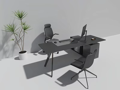 Modern Office Interior With Black Desk Two Chairs Computer Monitor And Green Plant 3d model