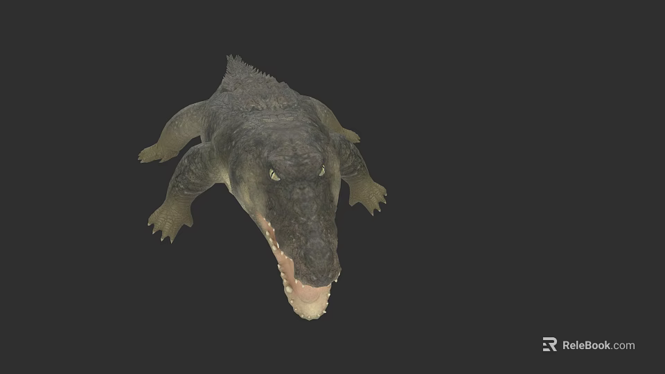 Realistic Crocodile Reptile With Open Mouth Scaly Skin And Yellow Eyes 3d model 