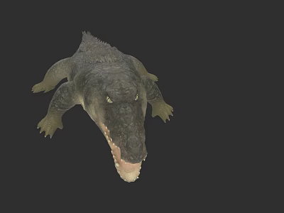 Realistic Crocodile Reptile With Open Mouth Scaly Skin And Yellow Eyes 3d model