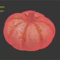 Fresh White and Yellow Striped Pumpkin with Green Spots and Round Shape