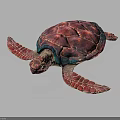 Colorful Sea Turtle With Pink Red Shell Blue Edges And Textured Pink Flippers
