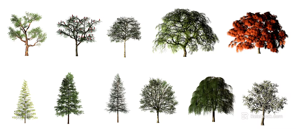 Various Arbor Tree Species with Coniferous Deciduous Foliage and Weeping Branches 3d model