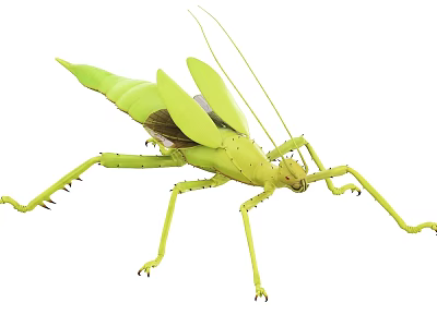 Green Reptile With Long Limbs And Detailed Green Body Structure In Habitat 3d model
