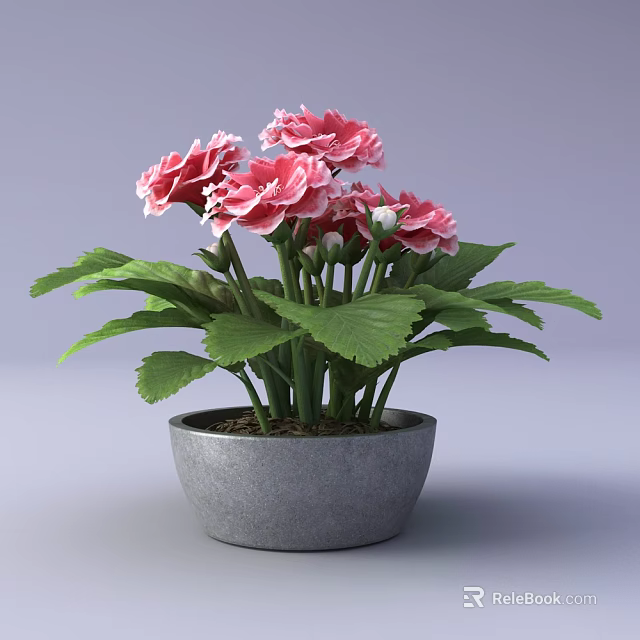 Bonsai Potted Plant With Pink Flowers And Green Leaves In Gray Pot 3d model 