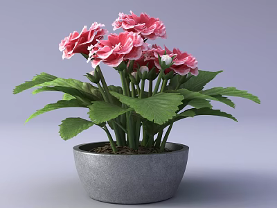 Bonsai Potted Plant With Pink Flowers And Green Leaves In Gray Pot 3d model