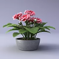 Bonsai Potted Plant With Pink Flowers And Green Leaves In Gray Pot