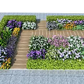 Vibrant Flowers And Diverse Plants In Garden With Wooden Pathway Layout