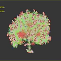 Blooming Ornamental Tree With Lush Green Leaves And Vibrant Pink Flowers