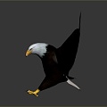 Modern Eagle Eagle Carving Like Eagle Statue Eagle Carving 3d model