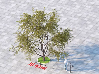 Dry Willow Tree Arbor with 3 Meters Height Green Grass and Square Tile Outdoor Ground 3d model