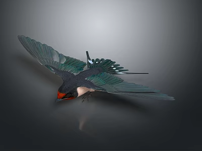 Swallow Flying With Spread Wings Green And Black Feathers And Red Head Against Gray Background 3d model