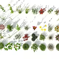 Diverse Collection of Colorful Flowers and Green Grasses with Various Shapes and Vibrant Blooms