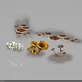 Natural Plant Display With Colorful Mushrooms And Yellow Flowers On Dark Background
