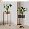 Stylish Indoor Potted Monstera Plants On Gold And Black Metal Plant Stands