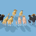 Low Poly 3D Sheep Models With Various Colors On Blue Background 3d model