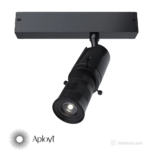 Black Adjustable Downlight Spotlight with Rotatable Head Ceiling Mounted Modern Lighting Fixture 3d model 