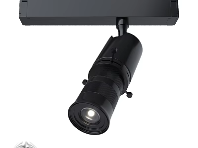 Black Adjustable Downlight Spotlight with Rotatable Head Ceiling Mounted Modern Lighting Fixture 3d model