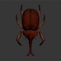 Red Beetle With Large Horns And Vibrant Shiny Exoskeleton On Dark Background
