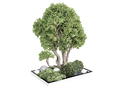 Lush Green Arbor with Small Plants and Stones on Decorative Square Base 3d model