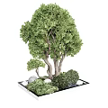 Lush Green Arbor with Small Plants and Stones on Decorative Square Base