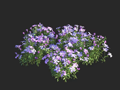 Vibrant Purple And White Flowers With Green Leaves In Lush Cluster 3d model