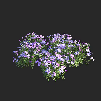 Vibrant Purple And White Flowers With Green Leaves In Lush Cluster 3d model