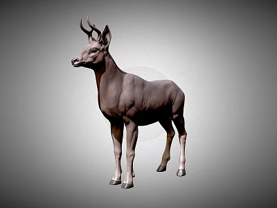 Realistic 3D Model of Standing Deer With Antlers on Gray Gradient Background 3d model