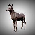 Realistic 3D Model of Standing Deer With Antlers on Gray Gradient Background