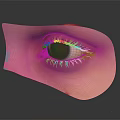 Human Eye Anatomical View With Eyelid Eyelashes And Eyeball Details