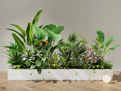 Lush Bonsai Potted Plants with Various Greenery in Long White Concrete Planter for Indoor Decor 3d model