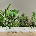 Lush Bonsai Potted Plants with Various Greenery in Long White Concrete Planter for Indoor Decor