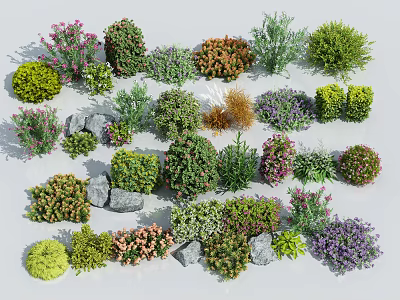 Various Types Of Shrubs Collection With Different Colors Shapes And Stones 3d model