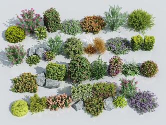 Modern shrub flowers and flowers combination 3d model