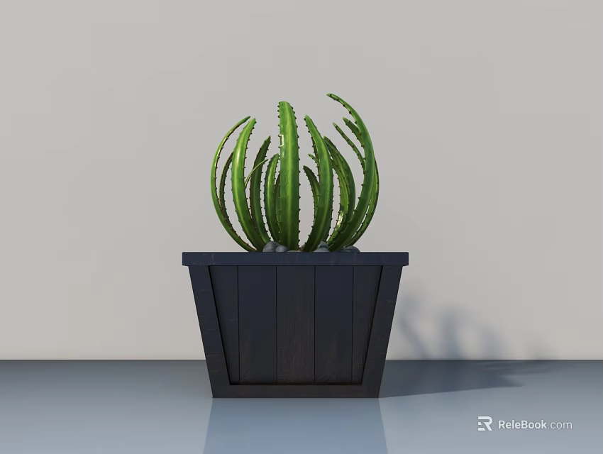 Indoor Green Cactus Potted Plant In Black Wooden Pot With Radial Leaves And Distinct Veins 3d model 