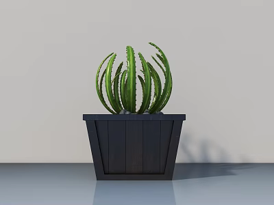 Indoor Green Cactus Potted Plant In Black Wooden Pot With Radial Leaves And Distinct Veins 3d model