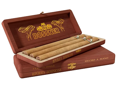 Modern cigar box cigar box cigarette 3d model
