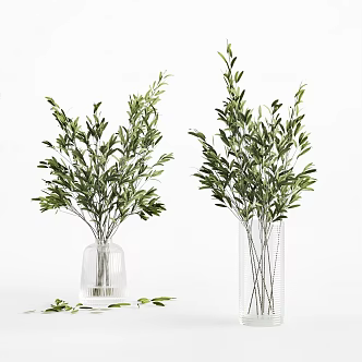 Modern potted plants 3d model