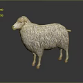 3D Rendered Sheep Model With Fluffy Wool Texture On Dark Background Surface