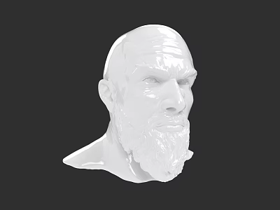 Detailed White Male Head Sculpture With Beard Against Black Background 3d model