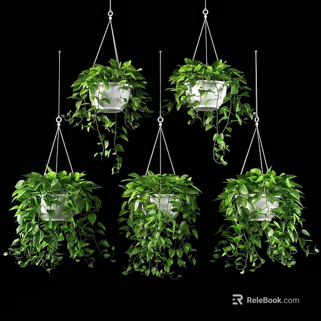 Decorative Hanging Plant Arrangement With White Pots Green Vines And Lush Foliage 3d model 