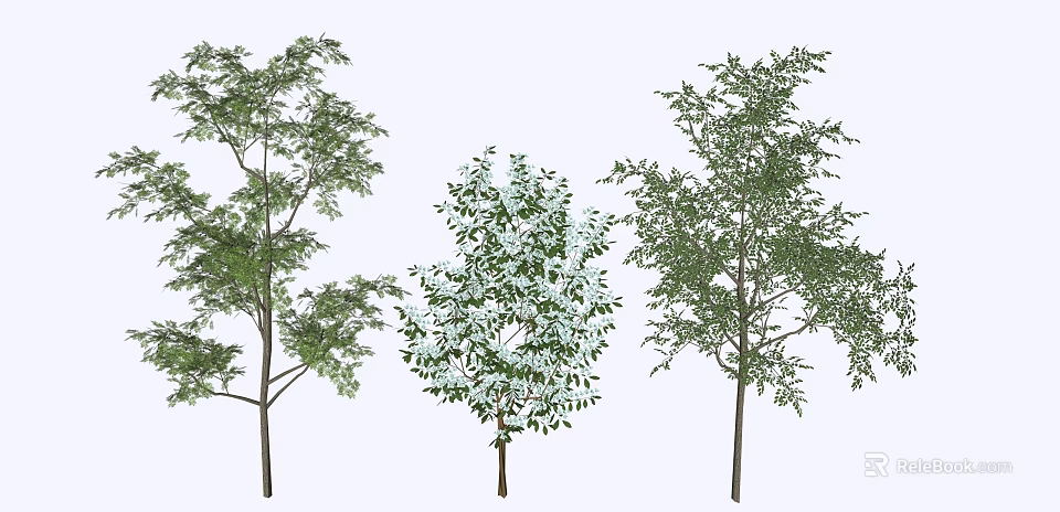 Three Different Arbor Trees With Lush Green Foliage And Natural Growth Shapes 3d model 