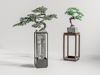 New Chinese Bonsai Pine Bonsai 3d model