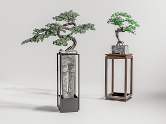 New Chinese Bonsai Pine Bonsai 3d model