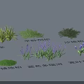 Garden Landscape With Diverse Green Plants Lavender And Creeping Shrubs For Outdoor Design